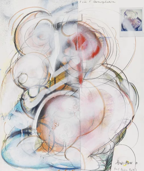 Dieter Roth — 1 von 5 Hermaphroditen