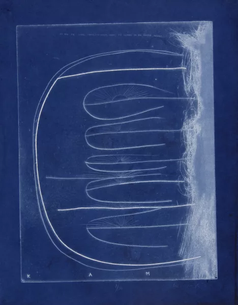 Dieter Roth — Kämme, 1972