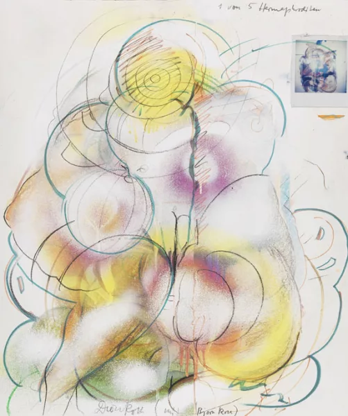 Dieter Roth — 1 von 5 Hermaphroditen