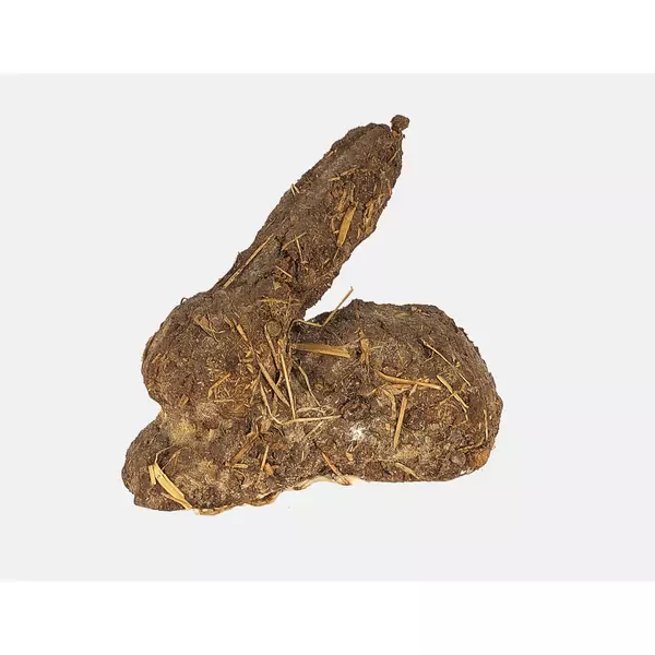 "Karnickelköttelkarnickel" oder "Scheisshase"