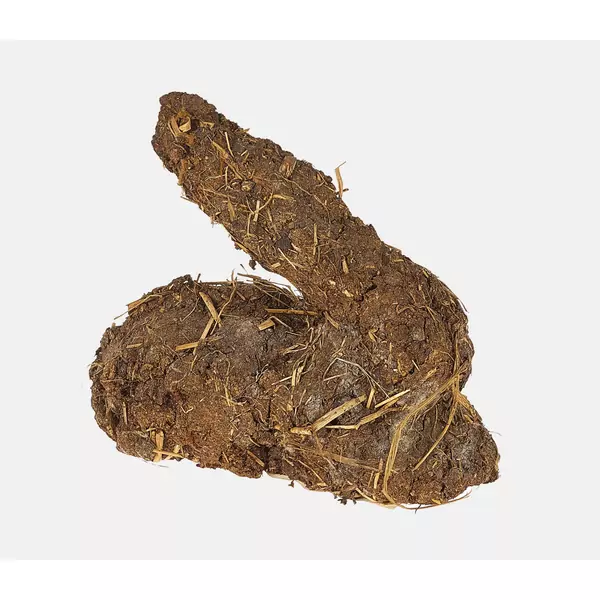 "Karnickelköttelkarnickel" oder "Scheisshase"