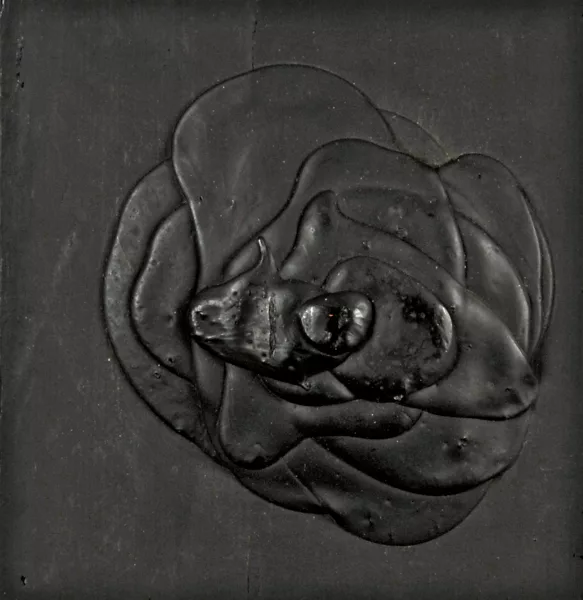 Dieter Roth — Schwarze Rose, 1969