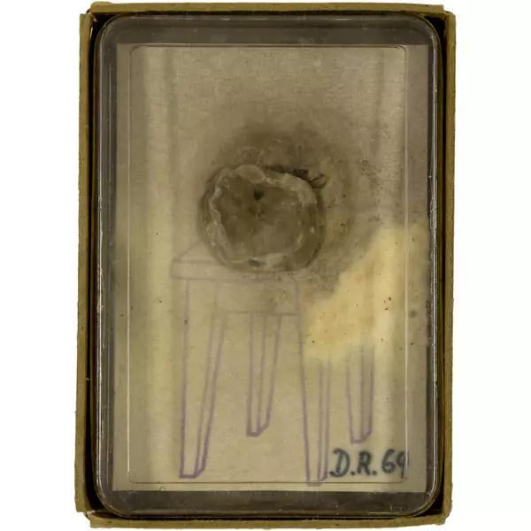 Dieter Roth — Taschenzimmer von Diter Rot — Galerie Kornfeld