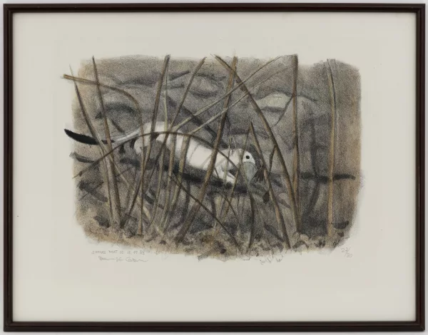 Dominique Cosandey — Coq de bruyère