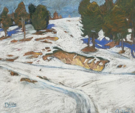 Paysage enneigé