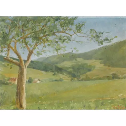 Paysage valaisan