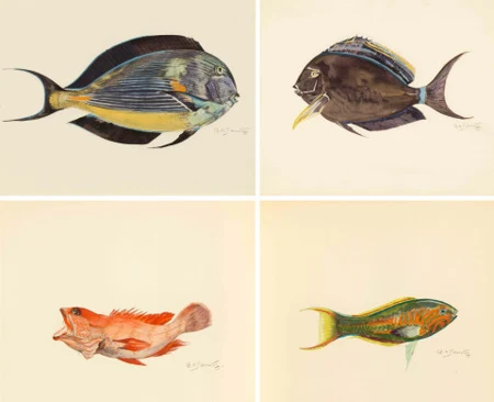 Poissons exotiques