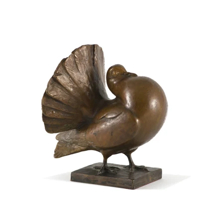 Pigeon ramier