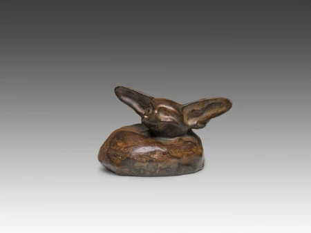 Fennec couché, tête levée, 1920–1930
