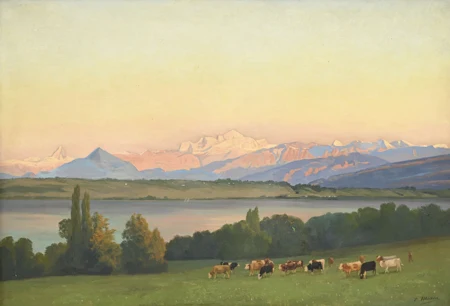 Vaches paissant au coucher du soleil