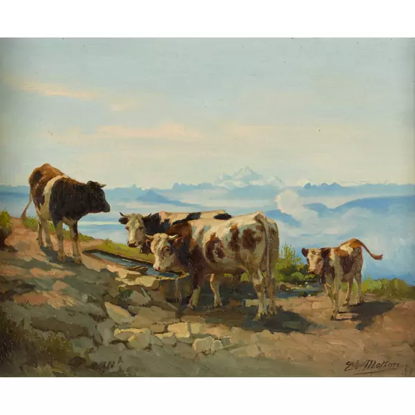 Sonnige Alp mit Kühen an der Tränke