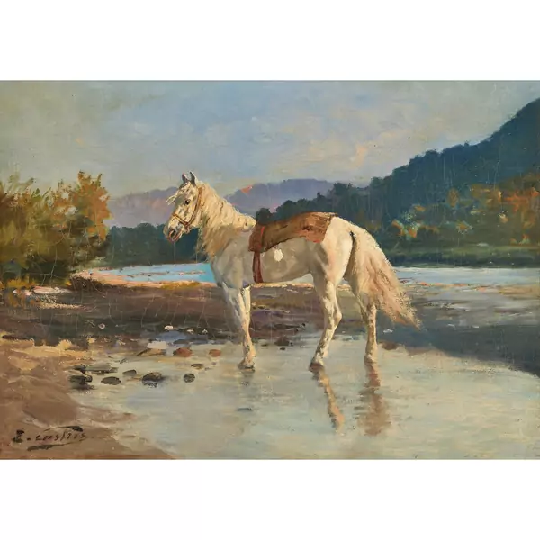 Pferd am Ufer
