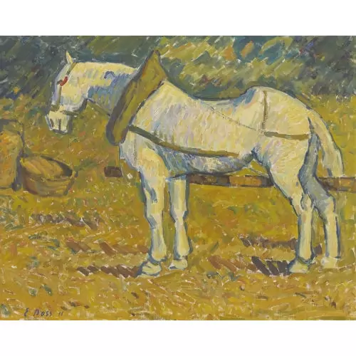 Eingespannter Schimmel