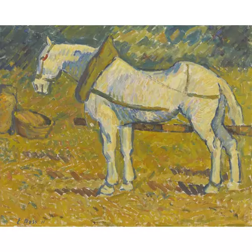 Eingespannter Schimmel
