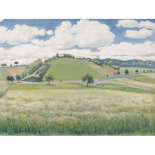Sommerliche Feldlandschaft