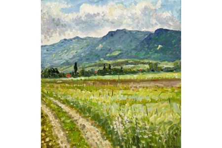 Sommerlandschaft