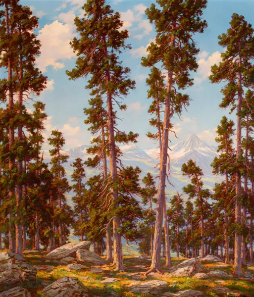Bewaldete Landschaft