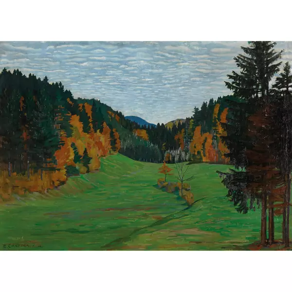 Herbstliche Waldlichtung