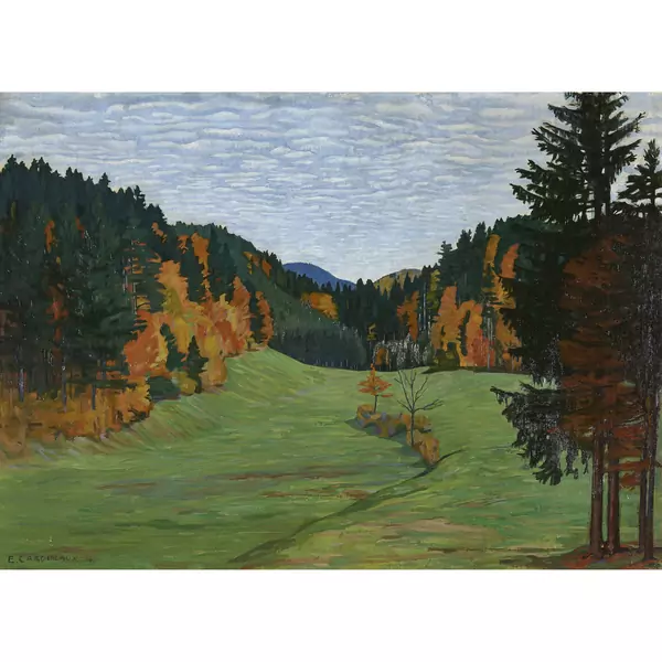 Herbstliche Waldlichtung