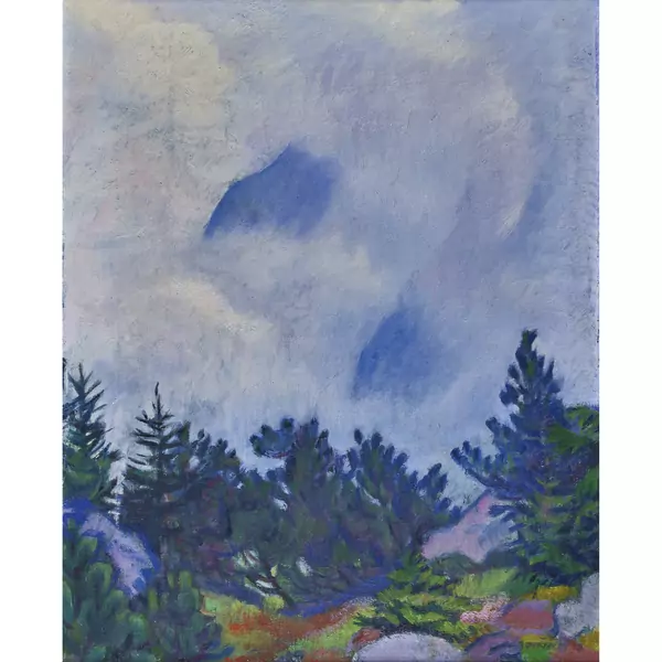 Berglandschaft im Nebel
