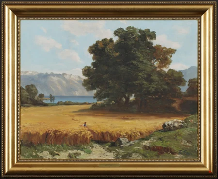Paysage lacustre