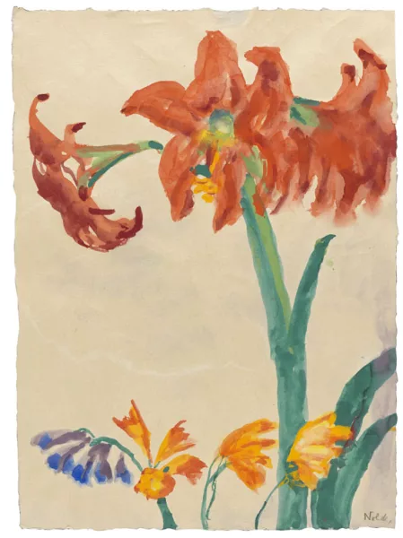 Emil Nolde — Amaryllis