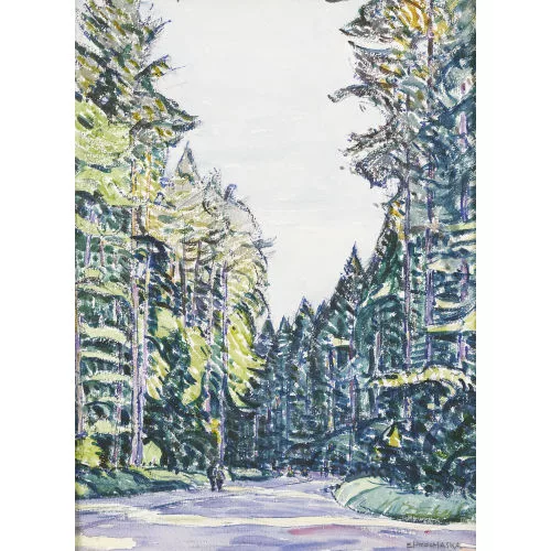Emil Prochaska — Sommerliche Strassenpartie in einem Nadelwald.