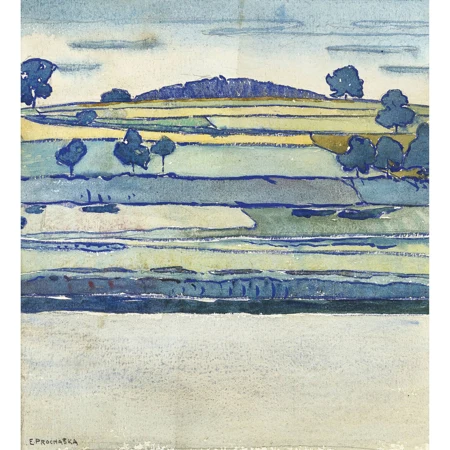 Weite Feldlandschaft