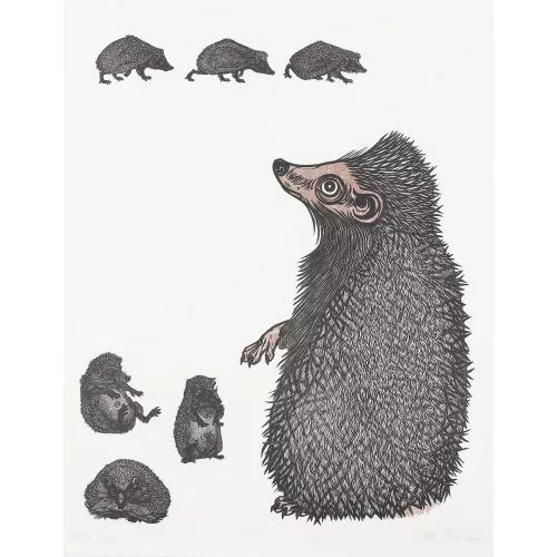 Emil Zbinden — Igel mit Jungen.
