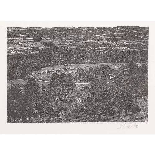 Emil Zbinden — "Blick vom Bachtel".