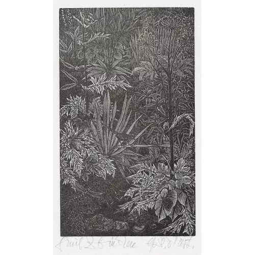 Emil Zbinden — In der Natur.