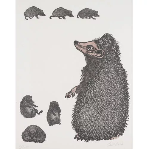 Emil Zbinden — Igel mit Jungen.