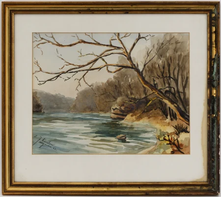 Bord de l'Arve