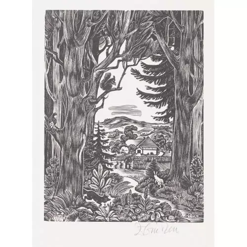 "Wald"