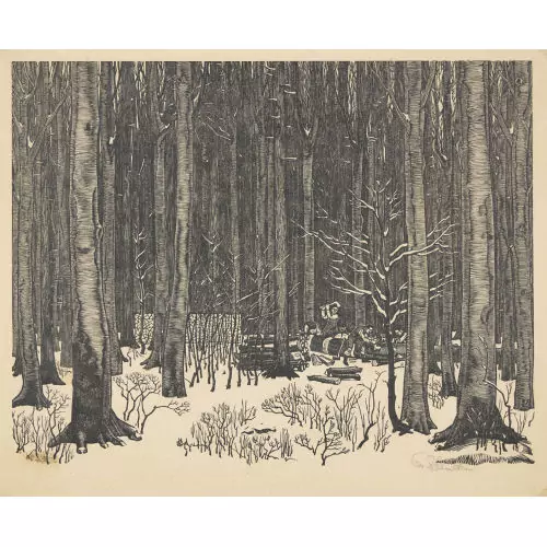 "Wald im Winter"