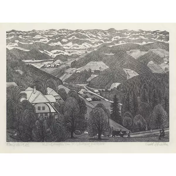 "Bimbach, Blick gegen Trachselwald"