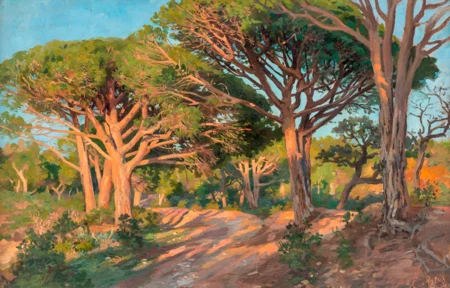 Forêt