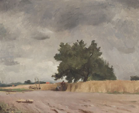 Les champs