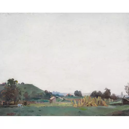 Feldlandschaft mit Garten