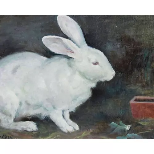 Le petit lapin blanc