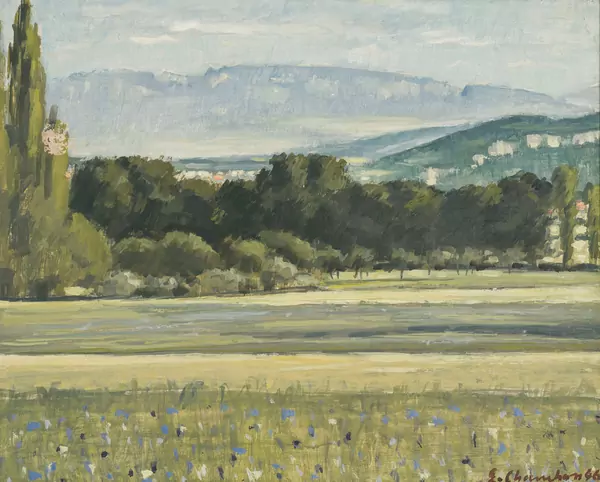 Vue du Salève