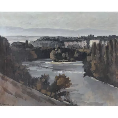 Le Rhône près de Genève