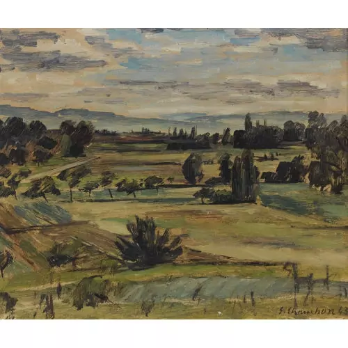 Weite Feldlandschaft