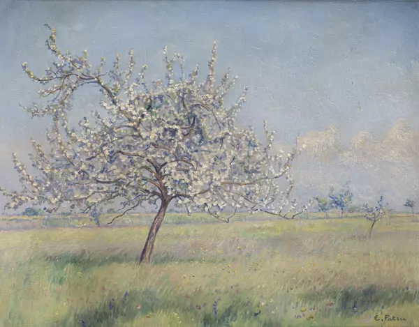 Émile PATRU (1877-1940), 'Pommier en fleur', Huile sur toile — DognyAuction