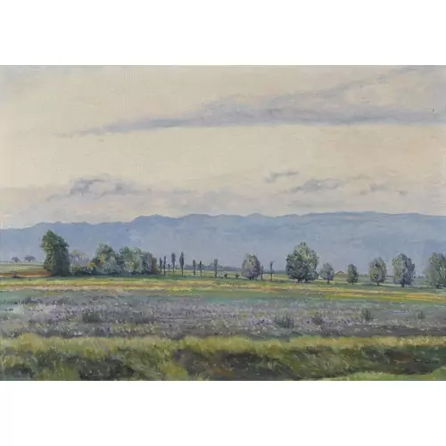 Paysage genevois