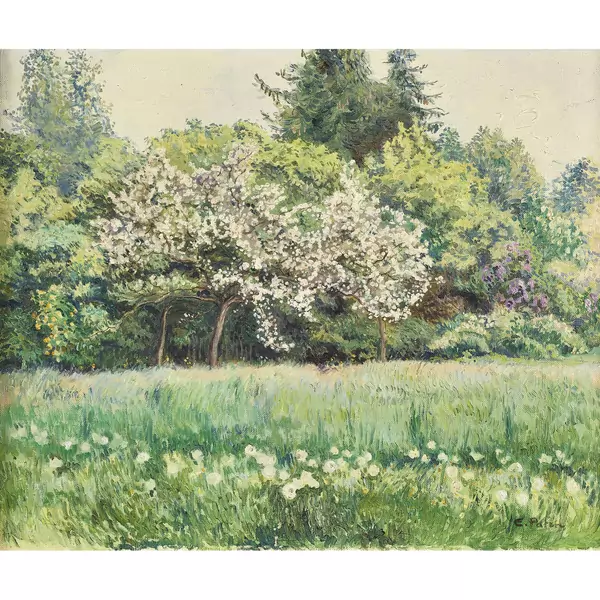 Wiese mit blühenden Bäumen