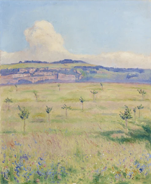 Emile Patru — SALÈVESALÈVE