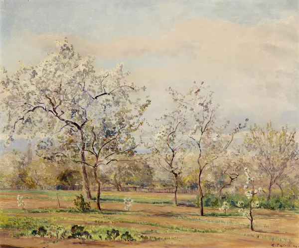 Arbres Fruitiers en Fleurissant