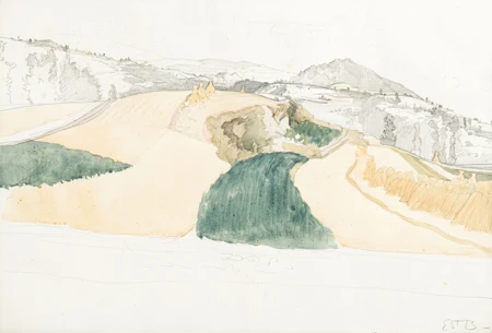 Paysage de campagne