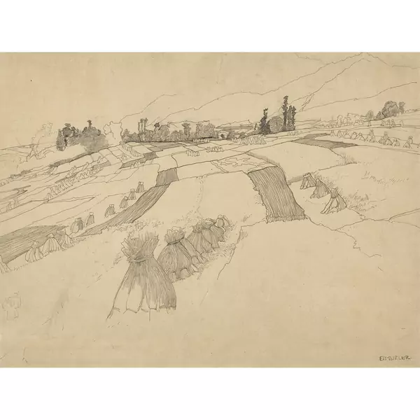 Gerbes de blé